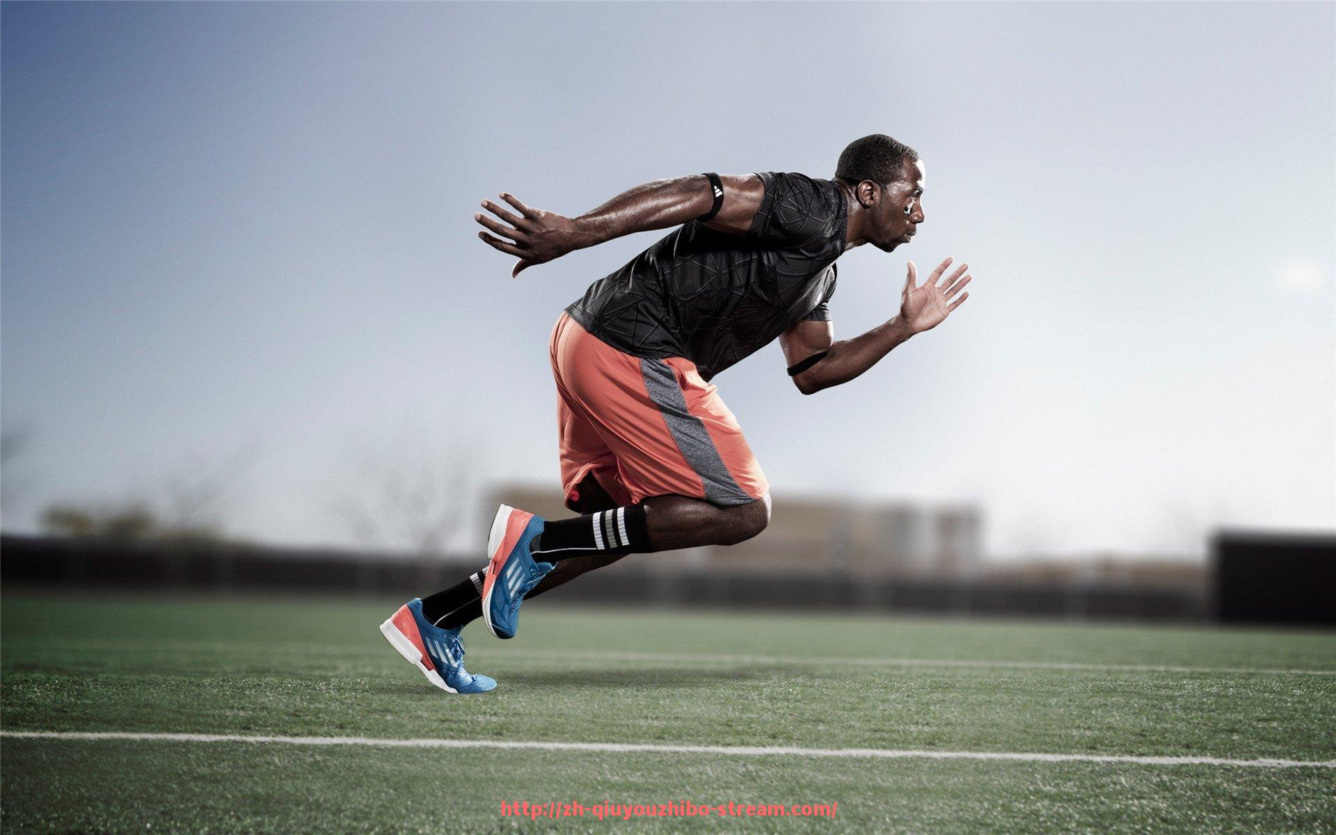 球友体育直播-火箭队最新比赛视频的收集渠道及推荐平台